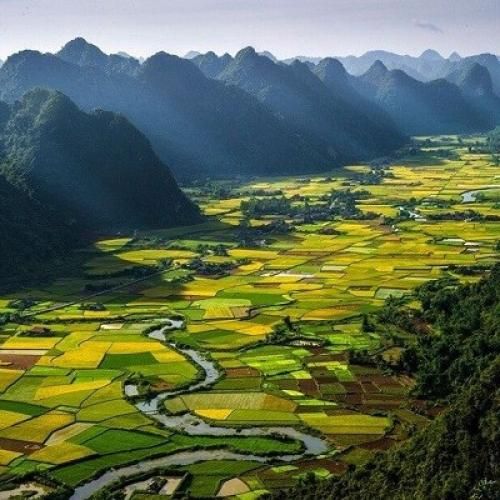 حاج خانم بیا تا با هم یه کارایی صورت بدیم
