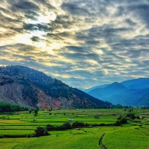 کاش تو این شهر غریب صدای آشنا بیاد دل من هواتو کرده