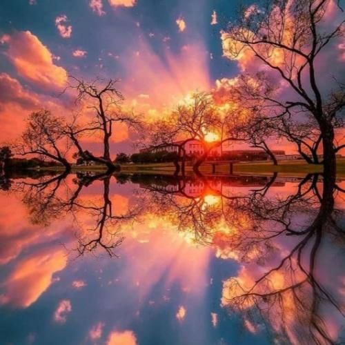  گیر و گوری نی وقتی مارو داره شهر فالو