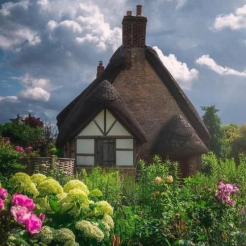 ولی تو میگفتی تو صفحه چت نباشی چشام میشه