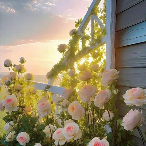  یک خنده کن ای گل لب خندانته صدقه