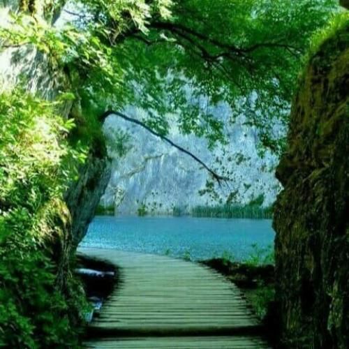 ورشا نمیخندم