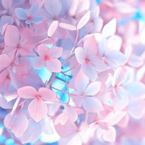 اگه دخترارو ببرن خدمت تو پادگان وضع همینه من بعد