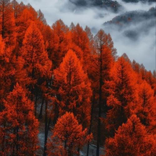  میگن این زندگی تهش هیچ چیزی نیست خرج کن بره