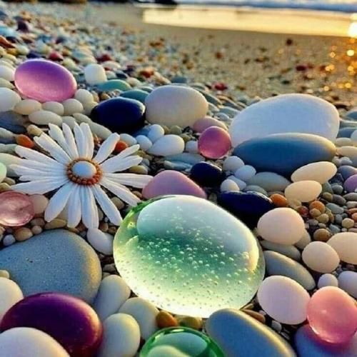 سپهر خلسه و امین رفیعی بیبی