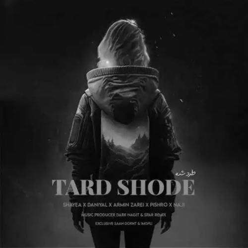 شایع و دانیال و آرمین زارعی و رضا پیشرو و ناجی طرد شده