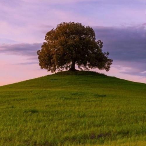 من دیگه حوصله عاشقی رو ندارم