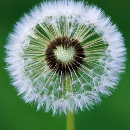 من سالهاست با خودم تو جنگم