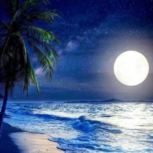 میمونم باز تاپ امسالم حال ندادی ولی