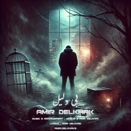 امیر دل خاک بی دلیل