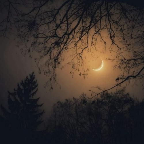 پلن چیدم از صبح که سوپرایز شه بریزه کرکش