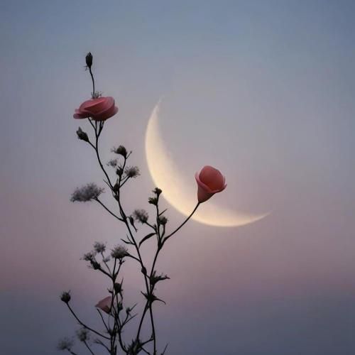 من یه ناسیونالیستم دشمن کمونیستم ولی از اونجا