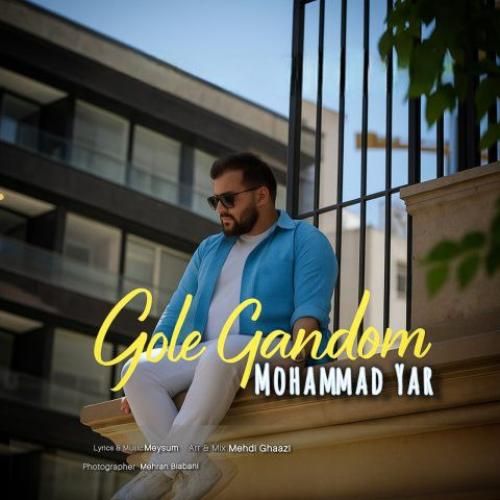 محمد یار گل گندم