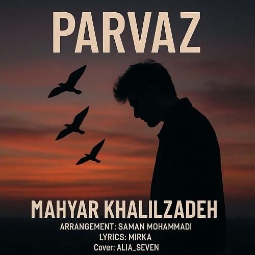 مهیار خلیل زاده پرواز