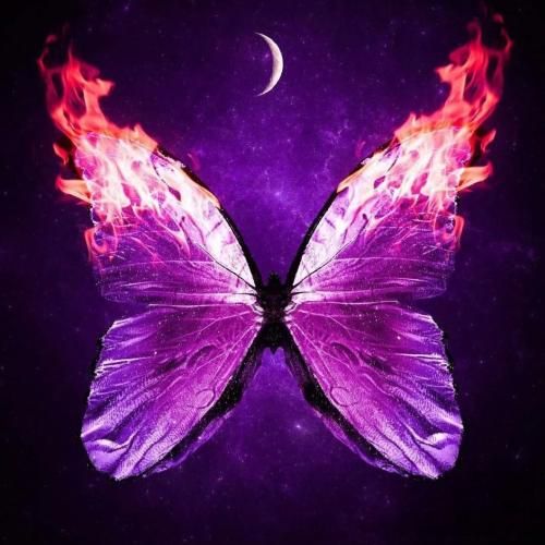 دست من آلوده به گناه به دست من نگاه نکن -