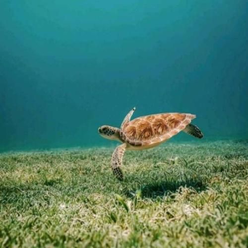 میخوای بدونی چقدر برام بی اهمیته