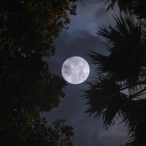 عاشقت شدم ریزه میزه حرف که میزنی گل میریزه