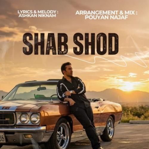 پویان نجف شب شد