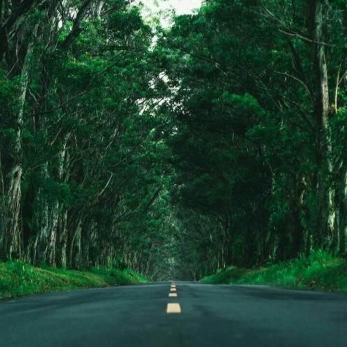 از دل من رفته ای بیرون به خدا تورو نمیپرستم