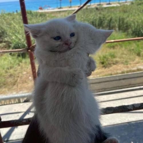 هی بیا جرم بده هی داری میای قرم بده