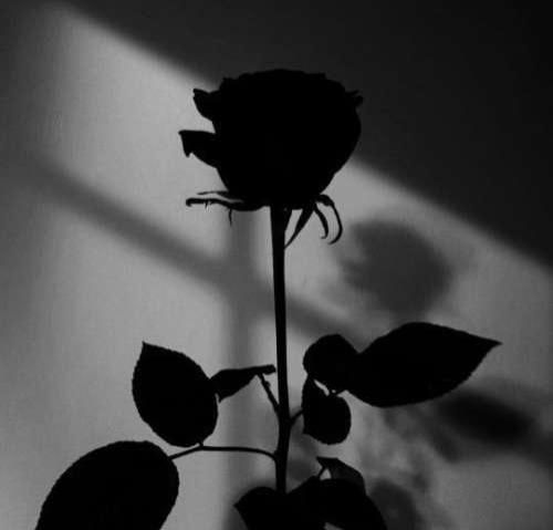 دیگه مرده تومون اشتیاق غرق تو