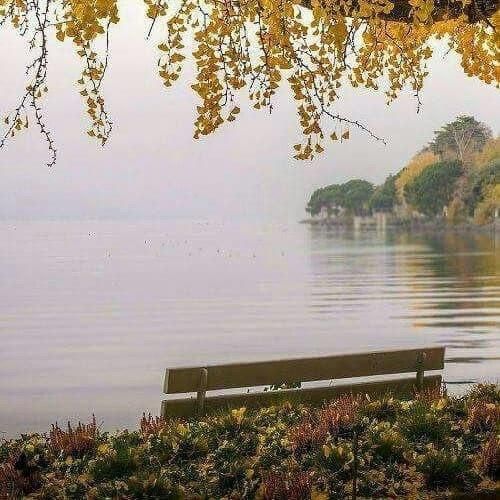 بعضی وقتا آدم باید بره باشه دوسش داری