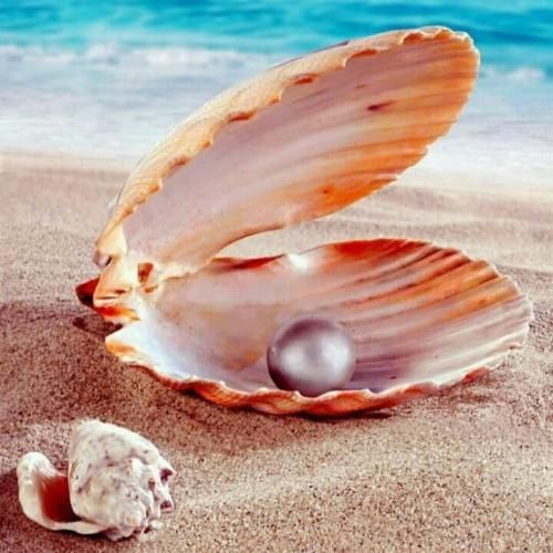 پیگیریم که بشیم پیگیرتون چپ بشیم که میکنیم