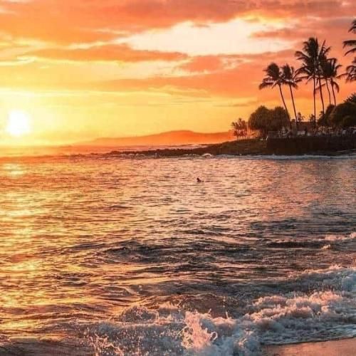 چی میگنو ول کن چی داری مهمه