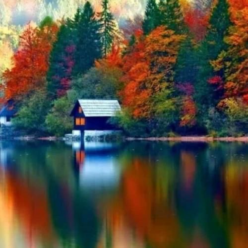 خستهایم از حرفای هم دیگه مغزم داده رد