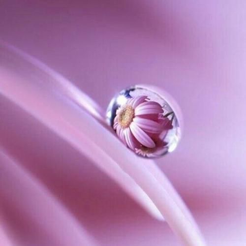 من مرد ملو نمیخوام شل و اسلو نمیخوام