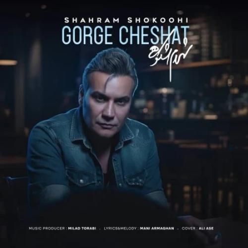 دانلود آهنگ گرگ چشات از شهرام شکوهی
