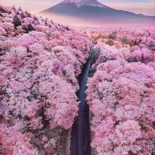  نازارکم دردت سرم عه درد مه نیری خور