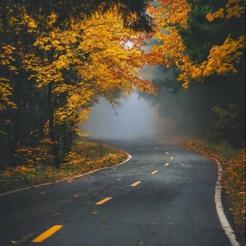 دانلود ریمیکس کاش بودی مثل خطت دائمی