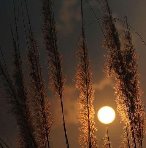 همه زندگیمو یه روز کتابش میکنم