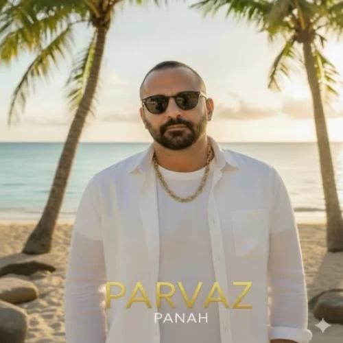 دانلود آهنگ پرواز از پناه