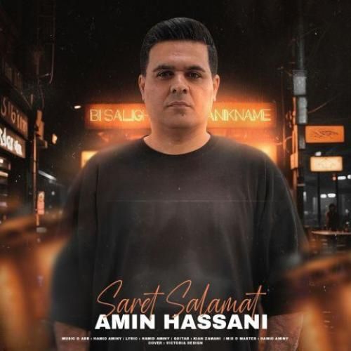 دانلود آهنگ سرت سلامت از امین حسنی