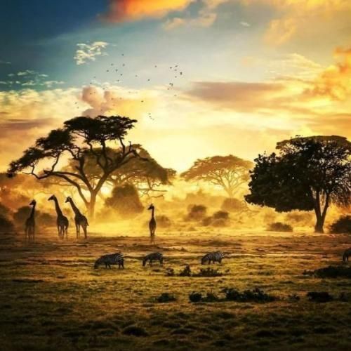  این آخریا حرفات میداد بوی رفتن انگار خسته شده بودی