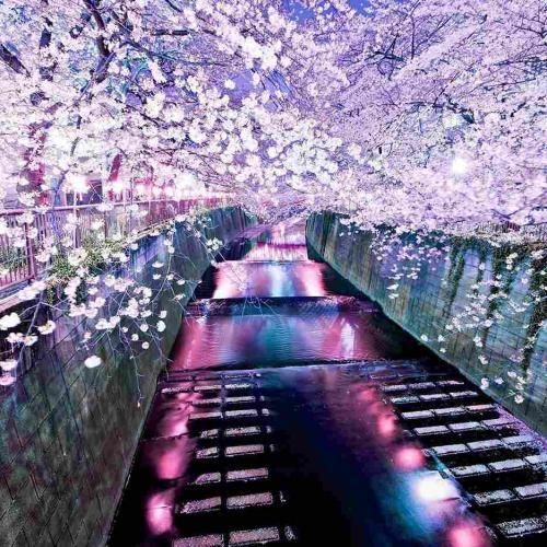 دانلود آهنگ عشق از سه حرف تشکیل شده عین شین قاف