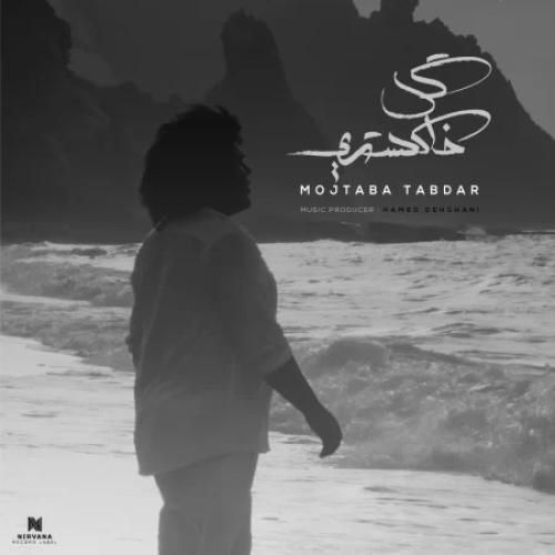 مجتبی تابدار گل خاکستری