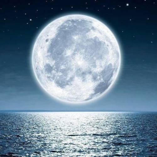 اگه گفتم دیگه نداری تو دلم دیگه جا