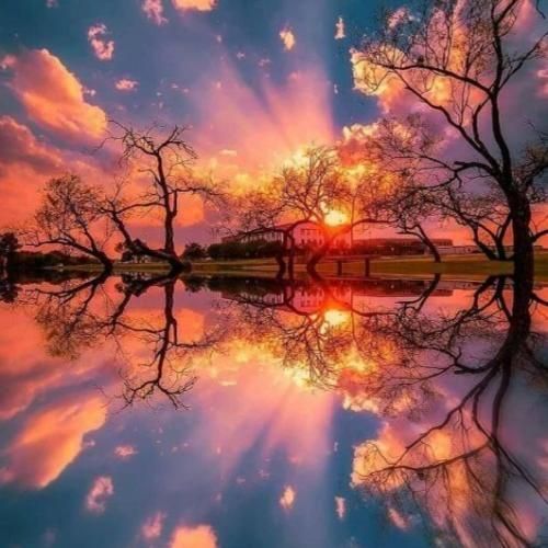 پویان جی سی و پاپابویز دیدی