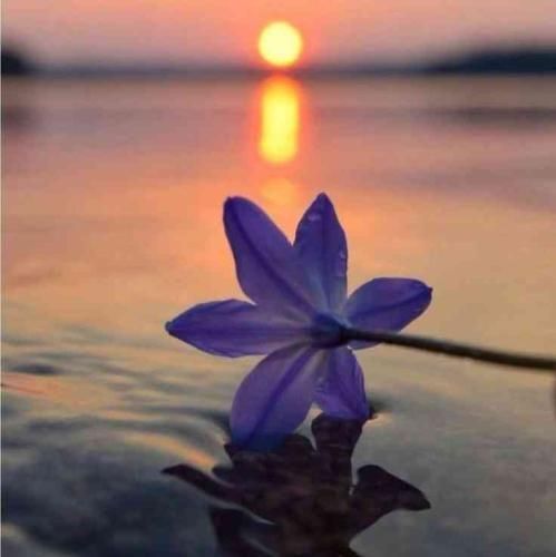  تو که هم غصه و همدم نداری بگو پس کی تو