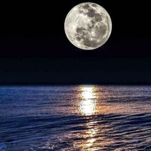  هنوز تا یه بارون میاد هوش مصنوعی