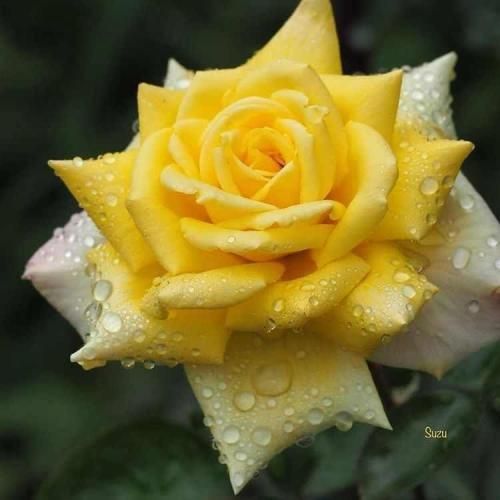 بین ما نگو فاصلست بیبی جاری میشه رو صورتم