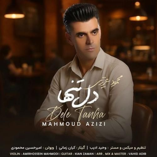 دانلود آهنگ دل تنها از محمود عزیزی