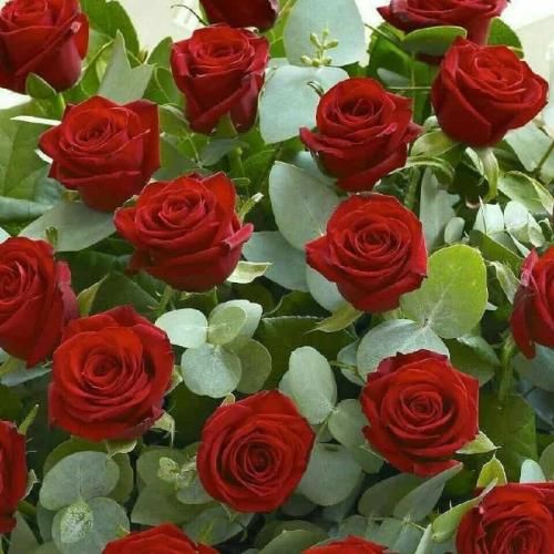 دانلود آهنگ مال من نمیشی بدرود اگه الان جا منه هرکی