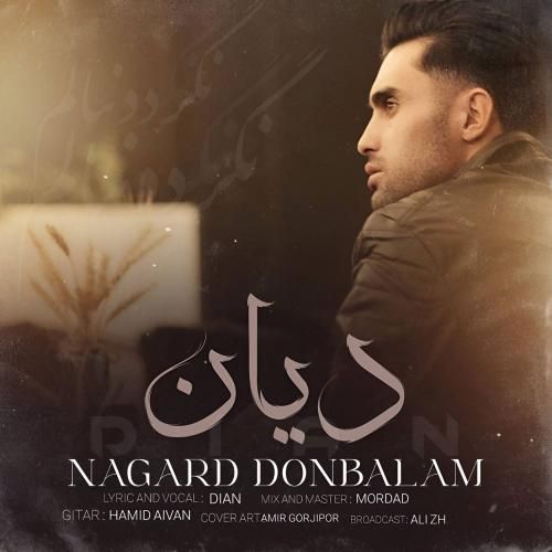 دانلود آهنگ نگرد دنبالم از دیان