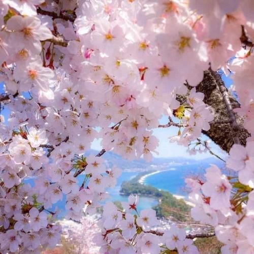  دافا پایه ان وای نمیدونم دستم کجا رفت