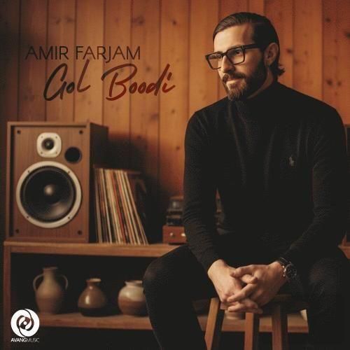 دانلود آهنگ گل بودی از امیر فرجام