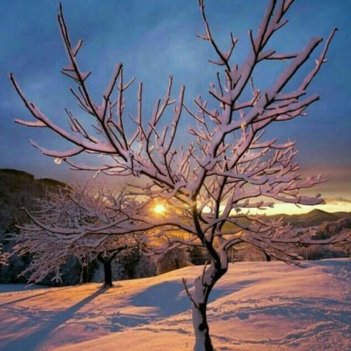 دانلود آهنگ بهش بگید دیگه نمیخوادت دلم به روز صد تا قرص